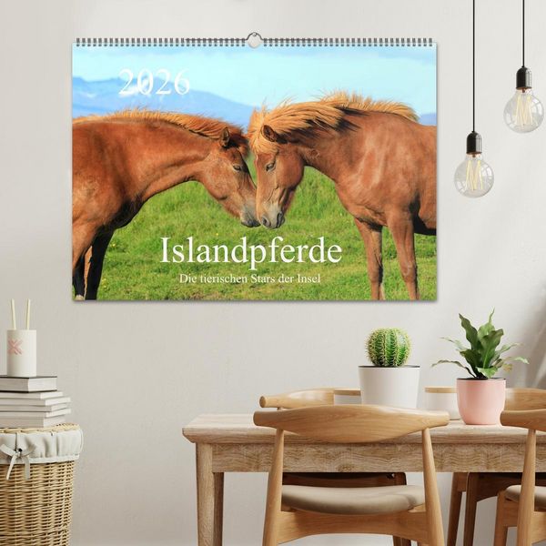 Produktbild: Islandpferde - Die tierischen Stars der Insel (Wandkalender 2026 DIN A2 quer), CALVENDO Monatskalender
