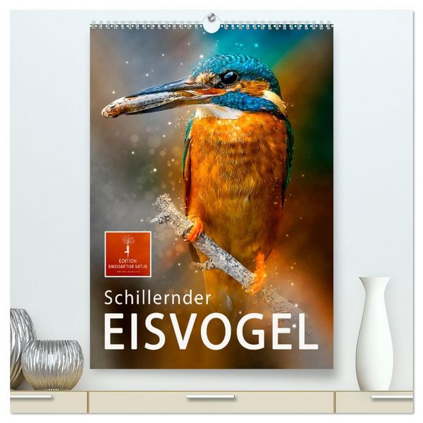Produktbild: Schillernder Eisvogel (hochwertiger Premium Wandkalender 2026 DIN A2 hoch), Kunstdruck in Hochglanz