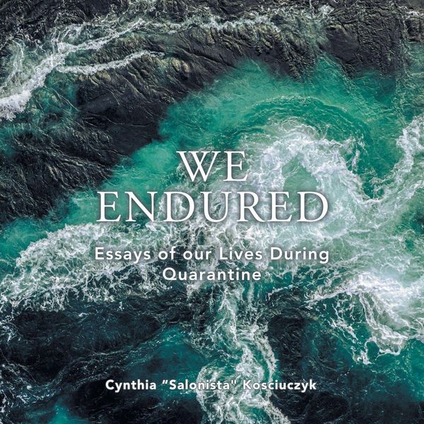 Produktbild: We Endured