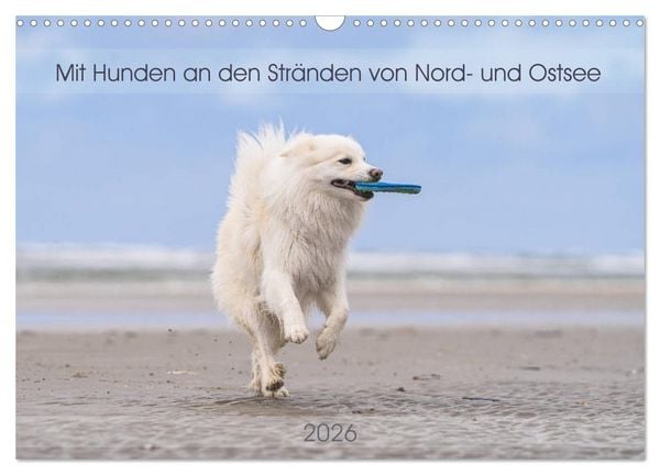 Produktbild: Mit Hunden an den Str&auml;nden von Nord- und Ostsee (Wandkalender 2026 DIN A3 quer), CALVENDO Monatskalender