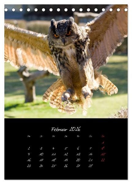 Produktbild: Tiere (Tischkalender 2026 DIN A5 hoch), CALVENDO Monatskalender