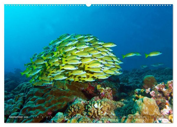 Produktbild: Mikronesien: Yap und Palau (hochwertiger Premium Wandkalender 2026 DIN A2 quer), Kunstdruck in Hochglanz