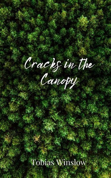 Produktbild: Cracks in the Canopy