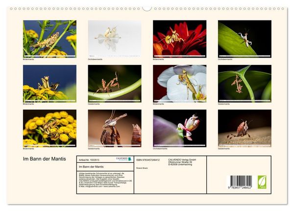 Produktbild: Im Bann der Mantis (hochwertiger Premium Wandkalender 2026 DIN A2 quer), Kunstdruck in Hochglanz