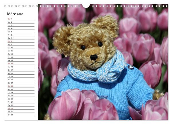 Produktbild: Teddy unterwegs (Wandkalender 2026 DIN A3 quer), CALVENDO Monatskalender