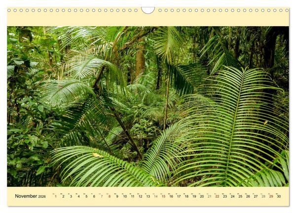 Produktbild: Australien - Der vielseitige Osten (Wandkalender 2026 DIN A3 quer), CALVENDO Monatskalender