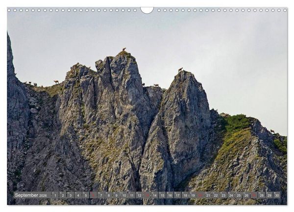 Produktbild: Waidmannsheil und Waidmannsdank (Wandkalender 2026 DIN A3 quer), CALVENDO Monatskalender