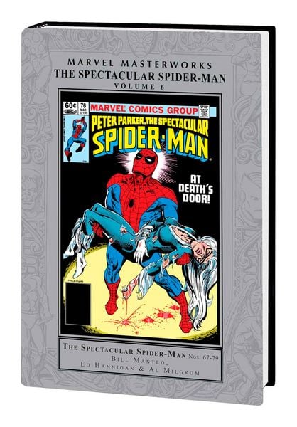 Produktbild: Marvel Masterworks: The Spectacular Spider-Man Vol. 6
