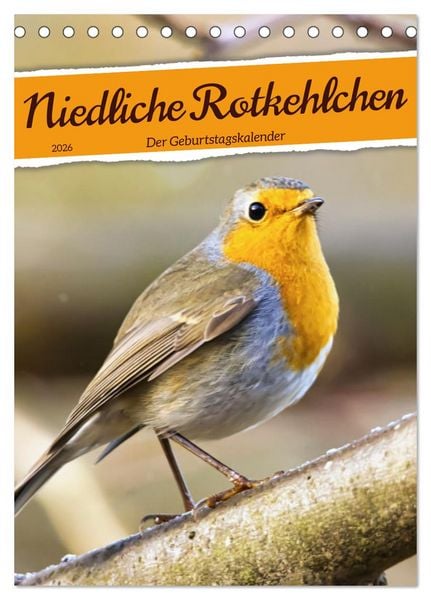 Produktbild: Niedliche Rotkehlchen (Tischkalender 2026 DIN A5 hoch), CALVENDO Monatskalender