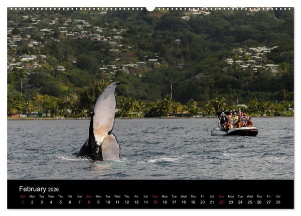 Produktbild: Bora Bora, Paradise islands (High Quality Premium Wall Calendar 2026 DIN A2 landscape),CALVENDO 12 Month Wall Calendar