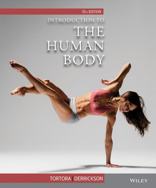 Produktbild: Tortora, G: Introduction to the Human Body