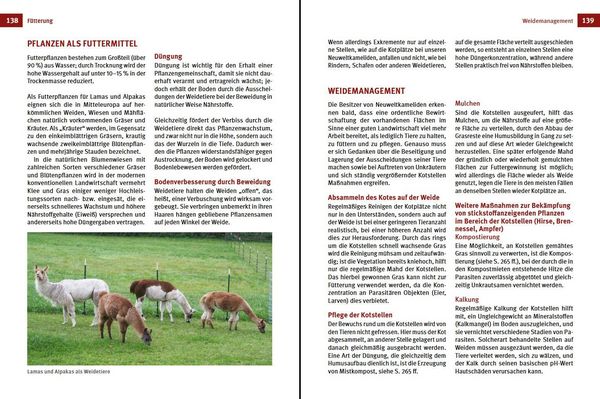 Produktbild: Alpakas & Lamas
