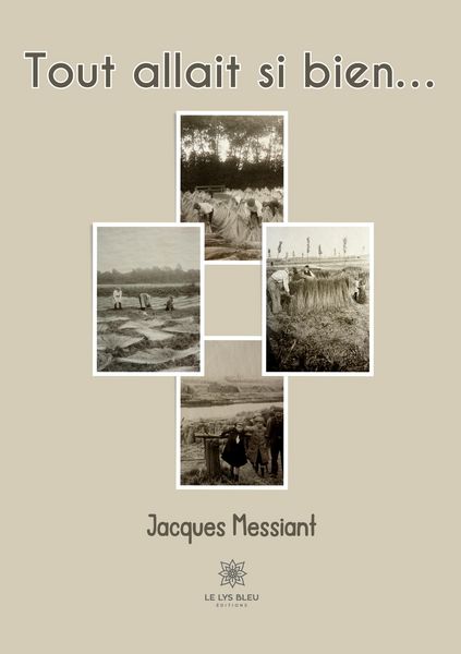 Produktbild: Messiant, J: Tout allait si bien