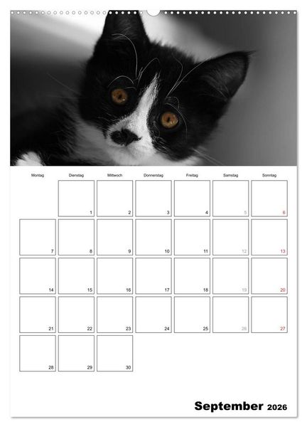 Produktbild: schwarz/wei&szlig; trifft farbe - DEIN TERMINKALENDER / Planer (hochwertiger Premium Wandkalender 2026 DIN A2 hoch), Kunstdruck in Hochglanz