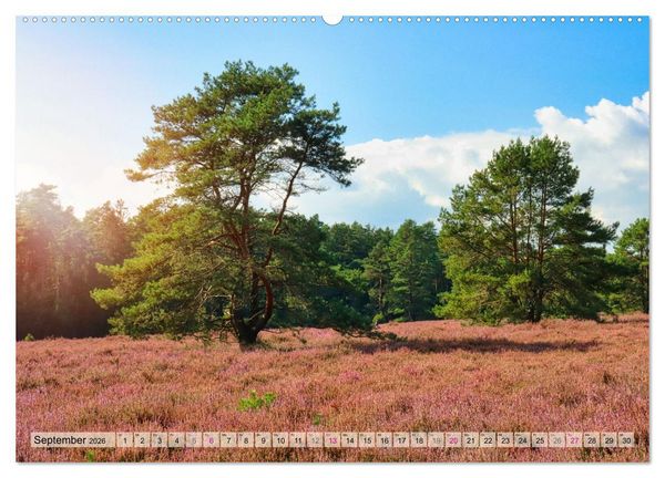 Produktbild: L&uuml;neburger S&uuml;dheide (hochwertiger Premium Wandkalender 2026 DIN A2 quer), Kunstdruck in Hochglanz