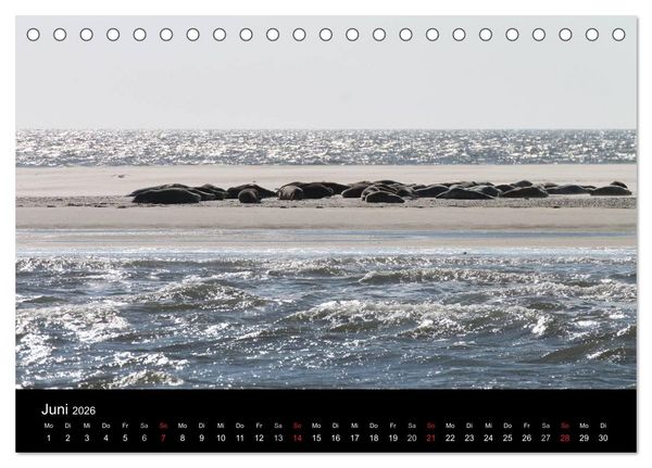 Produktbild: Sylt 2026 (Tischkalender 2026 DIN A5 quer), CALVENDO Monatskalender