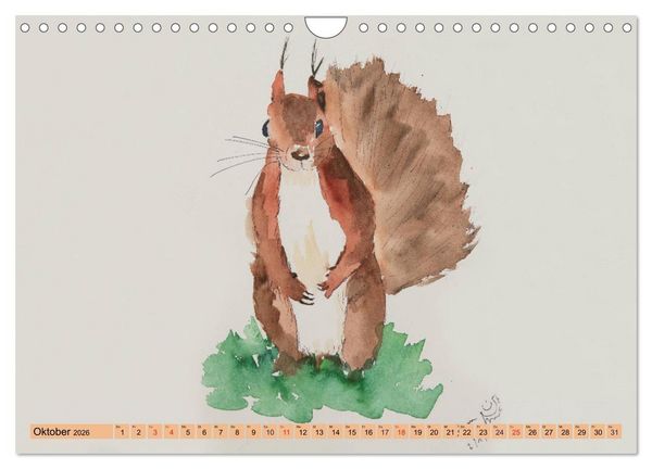 Produktbild: Eichh&ouml;rnchen in Aquarell (Wandkalender 2026 DIN A4 quer), CALVENDO Monatskalender