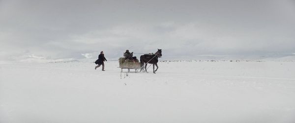 Produktbild: Auf trockenen Gr&auml;sern