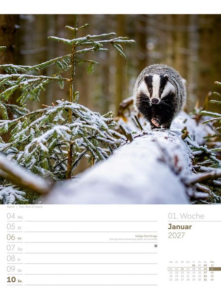 Produktbild: Unser Wald Wochenplaner Kalender 2027