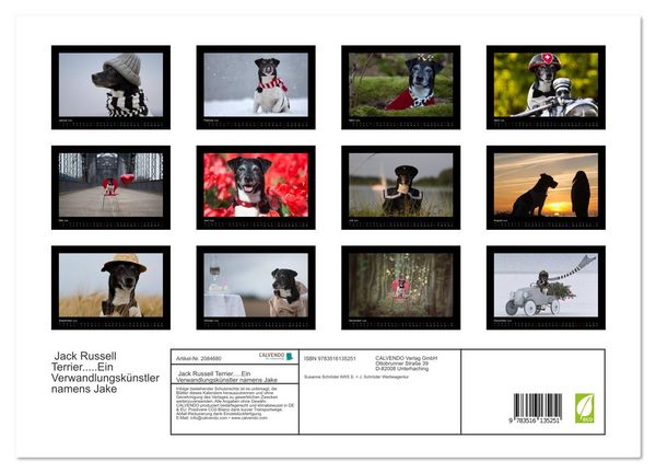 Produktbild: Jack Russell Terrier.....Ein Verwandlungsk&uuml;nstler namens Jake (hochwertiger Premium Wandkalender 2026 DIN A2 quer), Kunstdruck in Hochglanz