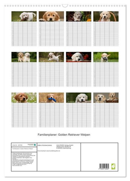 Produktbild: Familienplaner: Golden Retriever Welpen (Wandkalender 2027 DIN A2 hoch), CALVENDO Monatskalender