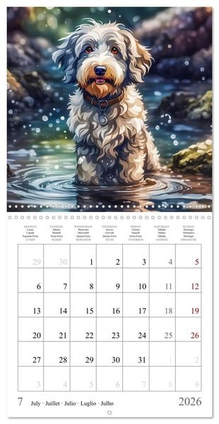 Produktbild: Hi, I am an Aussiedoodle (Wall Calendar 2026 12 &times; 12 Inch) CALVENDO 12 Month Wall Calendar