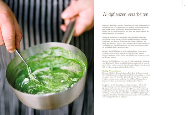 Produktbild: So schmecken Wildpflanzen