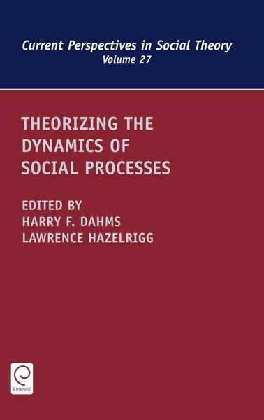 Produktbild: Theorizing the Dynamics of Social Processes