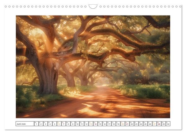 Produktbild: Mystische Wege (Wandkalender 2026 DIN A3 quer), CALVENDO Monatskalender