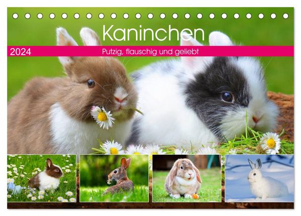 Kaninchen. Putzig, flauschig und geliebt (Tischkalender 2024 DIN A5 quer), CALVENDO Monatskalender