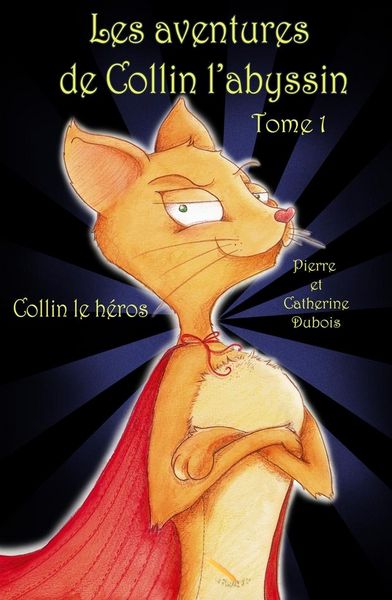 Produktbild: Les Aventures De Collin L'abyssin Collin Le Heros