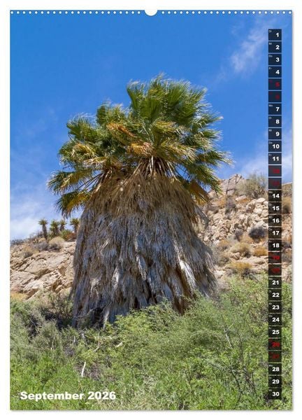 Produktbild: Impressionen aus dem JOSHUA TREE NATIONAL PARK (Wandkalender 2026 DIN A2 hoch), CALVENDO Monatskalender