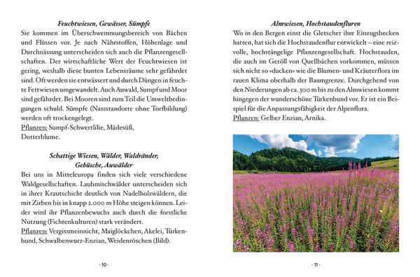 Produktbild: Das kleine Buch: Wildblumen auf Wiesen und Almen