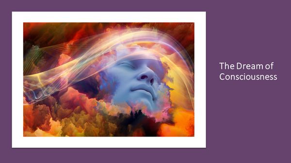 Produktbild: The Dream of Consciousness