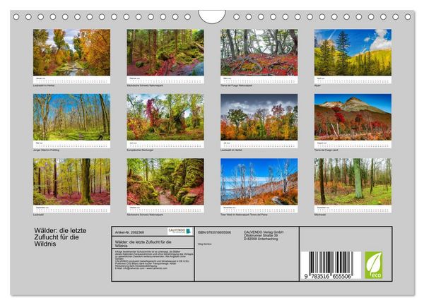 Produktbild: W&auml;lder: die letzte Zuflucht f&uuml;r die Wildnis (Wandkalender 2026 DIN A4 quer), CALVENDO Monatskalender