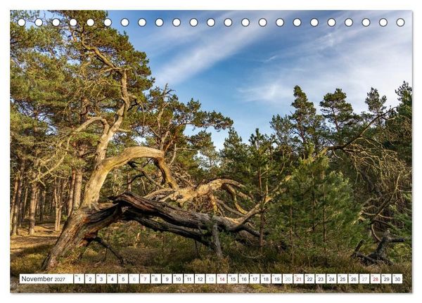 Produktbild: Mecklenburg-Vorpommern - Fischland-Dar&szlig;-Zingst (Tischkalender 2027 DIN A5 quer), CALVENDO Monatskalender