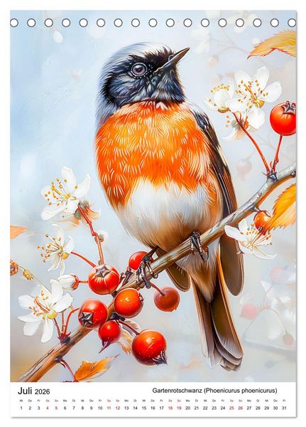 Produktbild: Heimische V&ouml;gel - Singv&ouml;gel zwischen Bl&uuml;ten und Beeren (Tischkalender 2026 DIN A5 hoch), CALVENDO Monatskalender