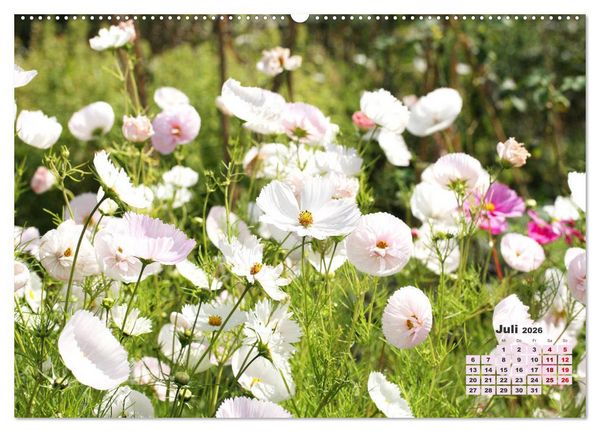 Produktbild: Urlaub im Garten (Wandkalender 2026 DIN A2 quer), CALVENDO Monatskalender