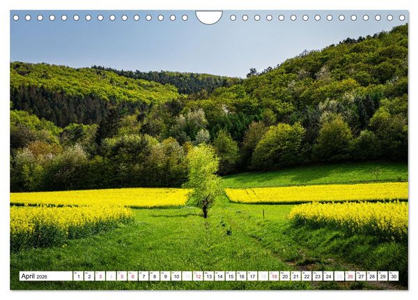 Produktbild: Traumlandschaften S&uuml;dwest-Deutschlands (Wandkalender 2026 DIN A4 quer), CALVENDO Monatskalender