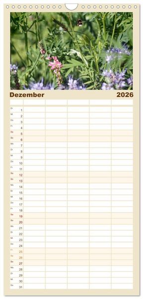 Produktbild: Familienplaner 2026 - Hummelflug mit 5 Spalten (Wandkalender, 21 x 45 cm) CALVENDO