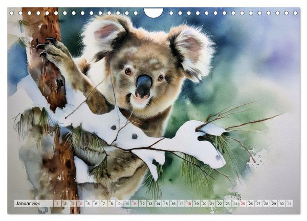 Produktbild: Koalas, liebenswerte kleine Schlafm&uuml;tzen (Wandkalender 2026 DIN A4 quer), CALVENDO Monatskalender