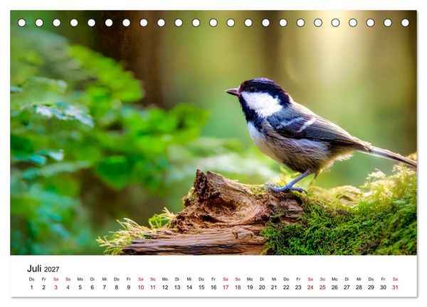 Produktbild: Federleicht - Das geheime Leben der Meisen (Tischkalender 2027 DIN A5 quer), CALVENDO Monatskalender