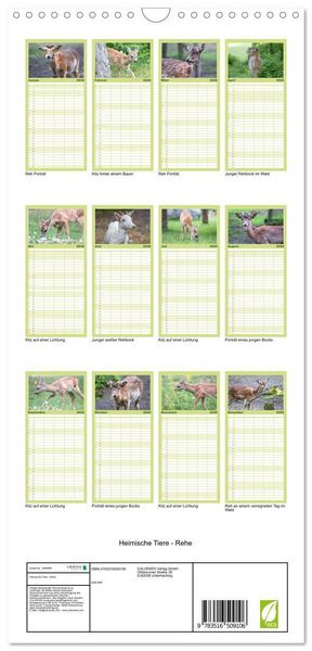 Produktbild: Familienplaner 2026 - Heimische Tiere - Rehe mit 5 Spalten (Wandkalender, 21 x 45 cm) CALVENDO