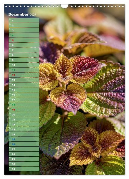 Produktbild: Bunte Farben der Natur (Wandkalender 2027 DIN A3 hoch), CALVENDO Monatskalender