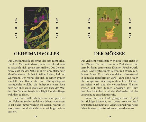 Produktbild: Die gr&uuml;ne Hexe und ihr geheimes Orakel