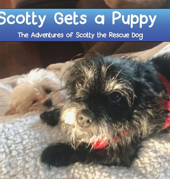 Produktbild: Scotty Gets a Puppy