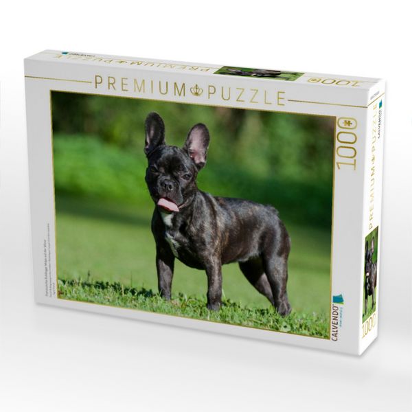 Produktbild: CALVENDO Puzzle Franz&ouml;sische Bulldogge Welpe auf der Wiese | 1000 Teile Lege-Gr&ouml;&szlig;e 64x48cm Foto-Puzzle f&uuml;r gl&uuml;ckliche Stunden