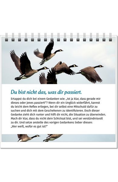 Produktbild: Der Lebensfreude-Tischkalender 2027