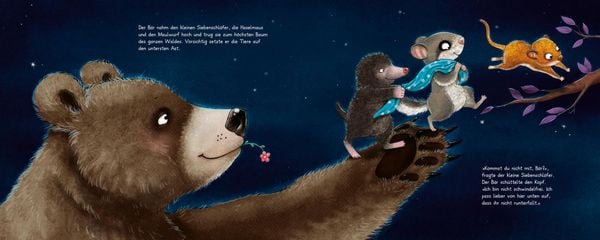 Produktbild: Der kleine Siebenschl&auml;fer 6: Die Geschichte vom kleinen Siebenschl&auml;fer, der dem Mond Gute Nacht sagen wollte