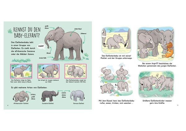 Produktbild: Kennst du die Tierkinder? - Sachbilderbuch f&uuml;r Kinder ab 3 Jahren